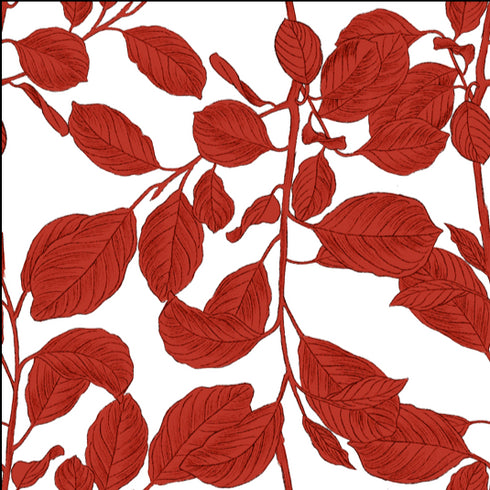 Baggy Sleeves Crop Top